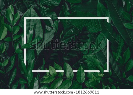 Square frame, Creative layout made of tropical flowers and leaves with paper card note. Flat lay. Blank for advertising card or invitation. Flat lay. Nature concept.