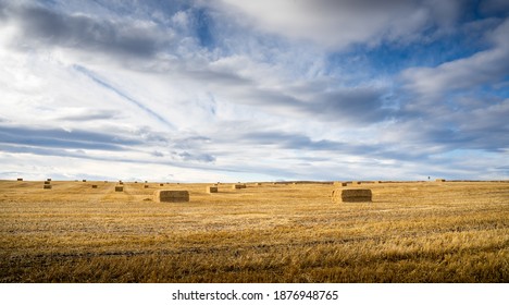 Prairie Images Stock Photos Vectors Shutterstock