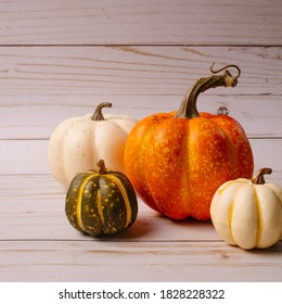 Square Image Of The Harvest Season. Pumpkins On The Wooden Background. Cozy Fall Backdrop. Trendy Fall Picture. Thanksgiving Vibes.