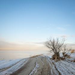 Square Landscape With A Lone Tree With Roots In The Ice, The Road To The Tree With Icy Waves On The Sand Against The Background Of A Bay With A Blue Sea In The Ice And A Yellow-blue Sunset In Winter