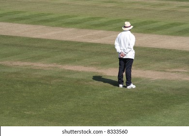 Square leg cricket umpire - Powered by Shutterstock