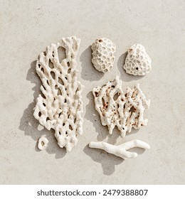 Square Pattern from seashells, coral with hard shadows on sandy color background. Minimal photo at sunlight. Summer vacation concept, beach mood. Nautical design. Top view nature aesthetics still life - Powered by Shutterstock