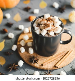 Square photo of hot chocolate with mini marshmallows with cocoa powder served with cinnamon sticks and star anise in a black mug with cork coaster. Autumn dessert - Powered by Shutterstock