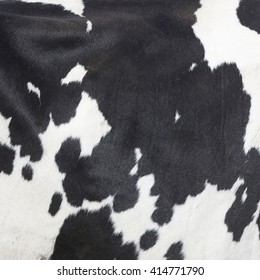 15,965 Cow black and white pattern Images, Stock Photos & Vectors ...