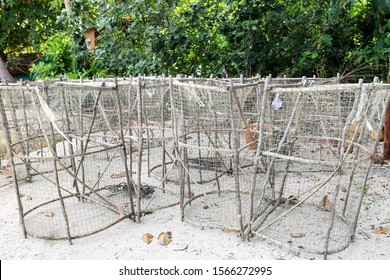 Square shape octopus trap On the beach by the sea
