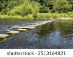 Square Stepping Stones Crossing River Ayr Near A77 Ayr Bypass, Scotland with green trees, bushes and wildflowers