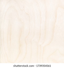 square wooden background - surface of natural birch plywood - Shutterstock ID 1739354561