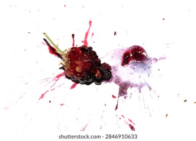 Squashed exploding and crushed blackberries fruit berries splattered on a white background with juice