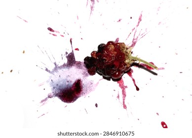 Squashed exploding and crushed blackberries fruit berries splattered on a white background with juice