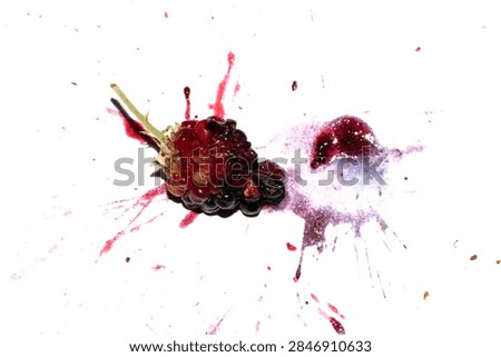 Squashed exploding and crushed blackberries fruit berries splattered on a white background with juice