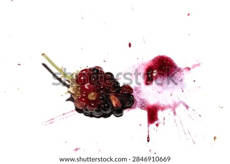 Squashed exploding and crushed blackberries fruit berries splattered on a white background with juice