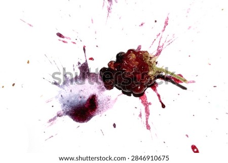 Squashed exploding and crushed blackberries fruit berries splattered on a white background with juice