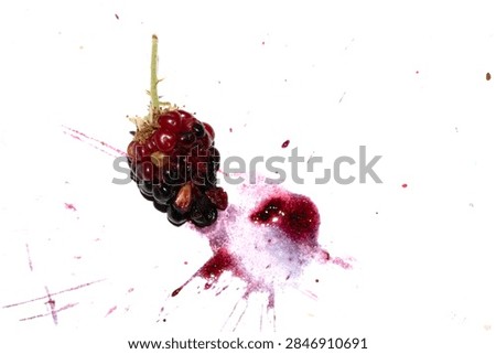 Squashed exploding and crushed blackberries fruit berries splattered on a white background with juice