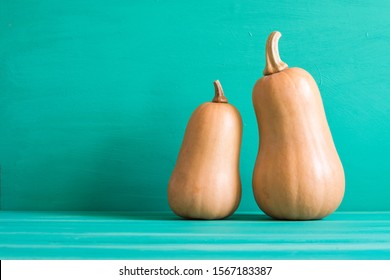 Squashes on emerald background with copy space.