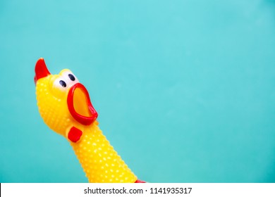 squawking chicken or squeaky toy are shouting and copy space pastel background.