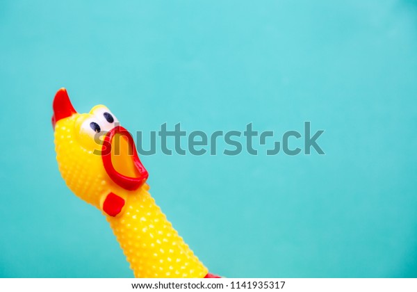 squawking chicken or squeaky toy are shouting\
and copy space pastel\
background.
