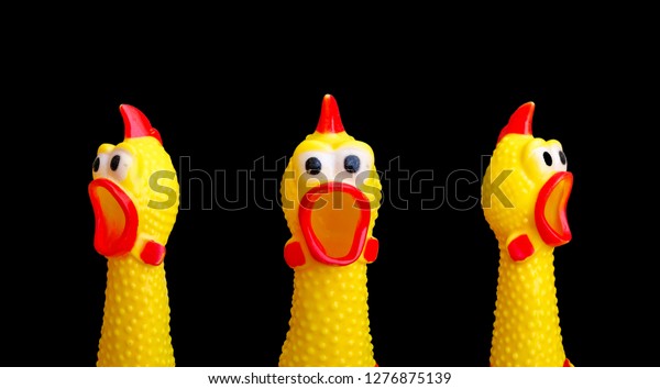squawking\
chicken or squeaky toy are shouting and copy space isolated on\
Black background. This has clipping\
path.