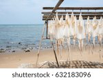 Squid dried