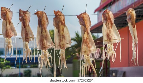 Squid drying on a line in the sun, in Thailand.
