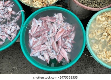 squid and other sea food sold in indonesian traditional market - Powered by Shutterstock