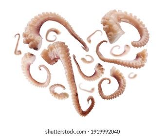 Squid tentacles in the shape of a heart on a white background