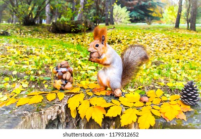 Squirrel in autumn park forest. Squirrel with nuts in autumn forest park scene. Autumn squirrel portrait. Squirrel in autumn park view