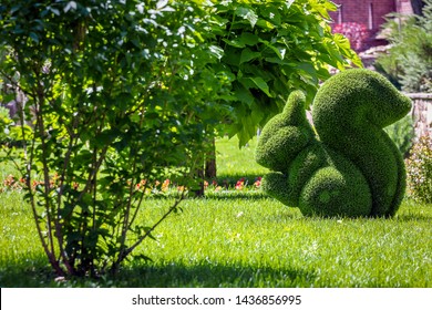 Squirrel Created From Bushes At Green Animals. Topiary Gardens