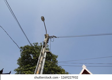 Squirrel On The Power Line