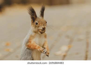 A squirrel is sitting on a path in the park, eating a nut.