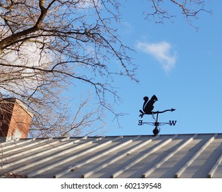 Squirrel Wind Vane