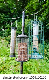 Squirrel Proof Bird Feeder Images Stock Photos Vectors