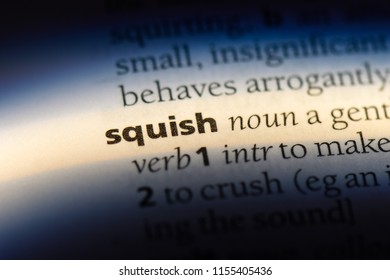 Squish Word Dictionary Squish Concept Stock Photo 1155405436 | Shutterstock