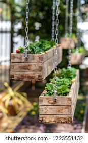 Hanging Planter Boxes Images Stock Photos Vectors Shutterstock