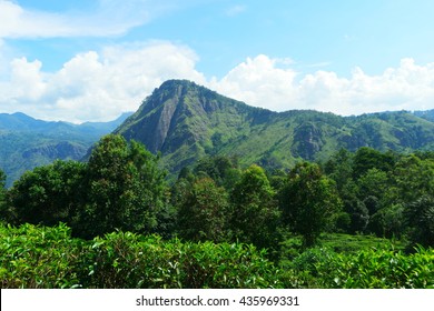 Sri Lanka,  Ella Little Adams Peak Mountan