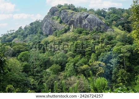 Sri Lanka landscapes nature background. beautiful mountains covered with green dense forests