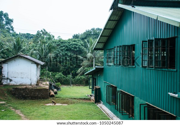 Sri Lanka Ocean Amazing Incredible Traveling Stock Photo Edit Now