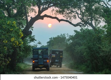 Sri Lanka Safari Vehicles In Yala