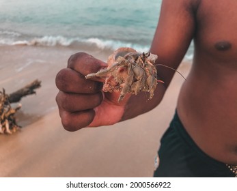 Sri Lankan Man Carrying A Crabs