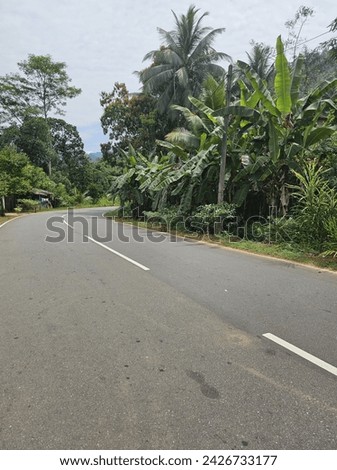 sri lankan village tar road