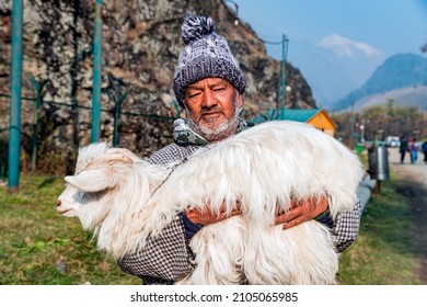 Srinagar, Jammu and Kashmir India - November 12 2021: Portrait of an old shepherd holding a sheep in his arms.