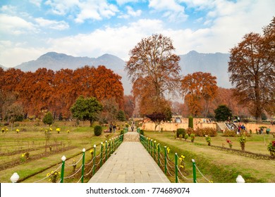 17,372 Mughal gardens Images, Stock Photos & Vectors | Shutterstock