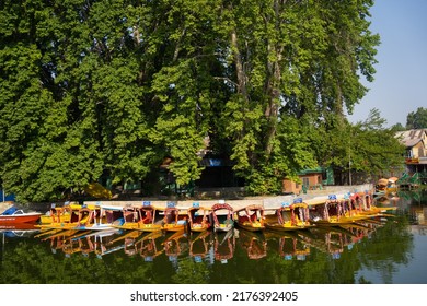 Srinagar, Kashmir, India - June 13 2022: View of Dal lake and boat house before sunset in the heart of Srinagar during winter, Srinagar, Kashmir, India.