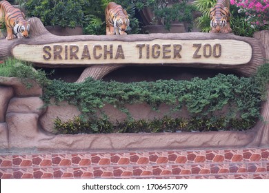 Sriracha Tiger Zoo Thailand April 2 Stock Photo 1706457079 | Shutterstock