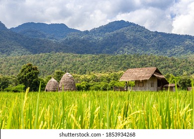 94,825 Hill agriculture thailand Images, Stock Photos & Vectors ...