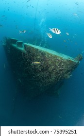 SS Thistlegorm