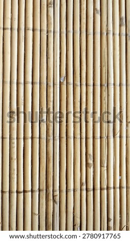 #sstk.walltexture 
Close up of wall texture made of bamboo skin. Bamboo wall with style like that can be used as a sitting mat or 