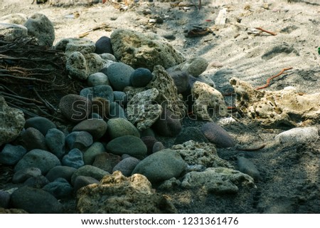 Sstones under coconut tree