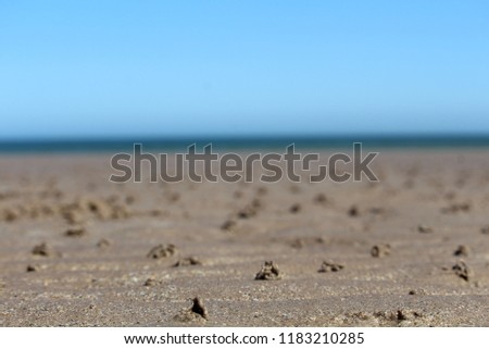 St Andrews Beach