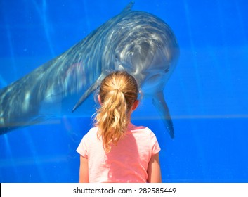 ST. AUGUSTINE, FLORIDA - APRIL 22: Child at Marineland  interacting with dolphin. Tourist enjoy their visit seeing dolphins playing . Event was on April, 22, 2015 at St. Augustine, Florida.