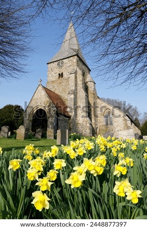 St. Bartholomew's Church with spring daffodils, Burwash, East Sussex, England, United Kingdom, Europe